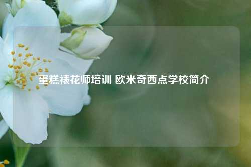 蛋糕裱花师培训 欧米奇西点学校简介 